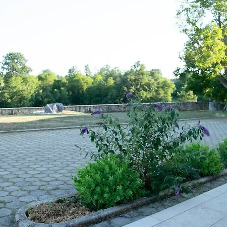 Murva Rudani